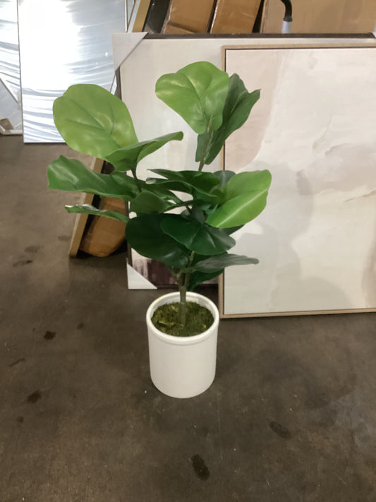 Faux Potted Fiddle Leaf Plant