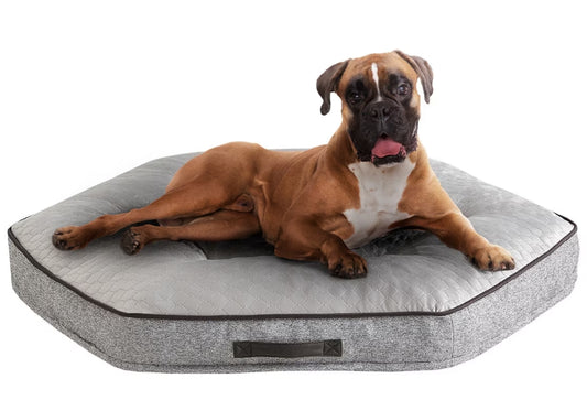 Kirkland Signature 42" Hexagon Pet Napper