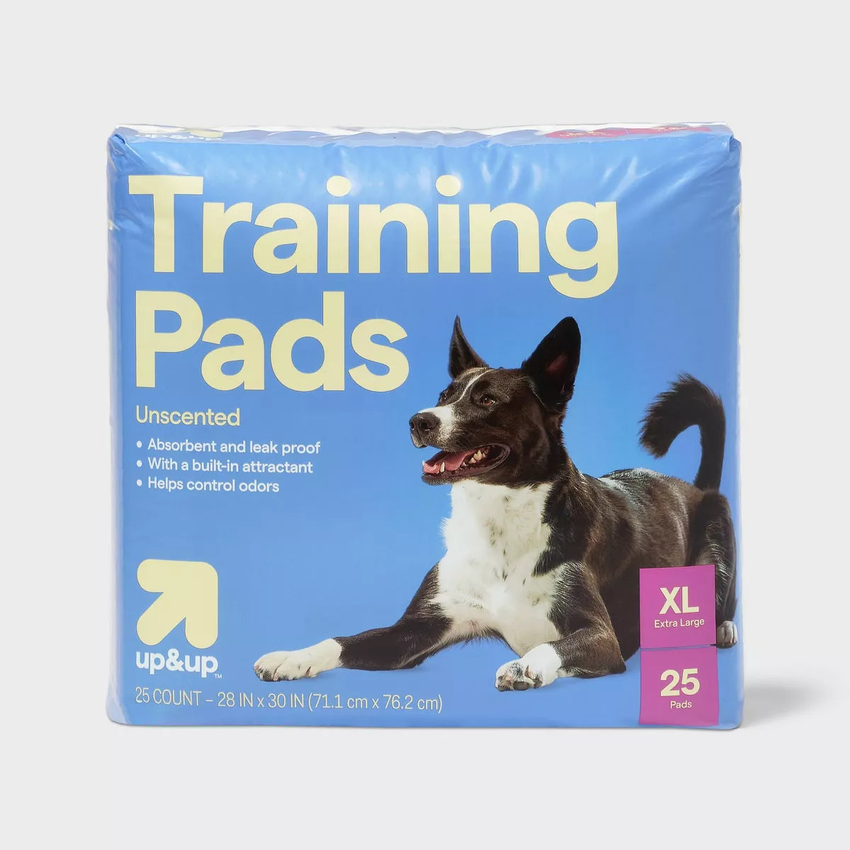 Up&Up Dog Training Pads